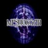 flat750x075f pad750x750f8f8f8 12 - Meshuggah Merch